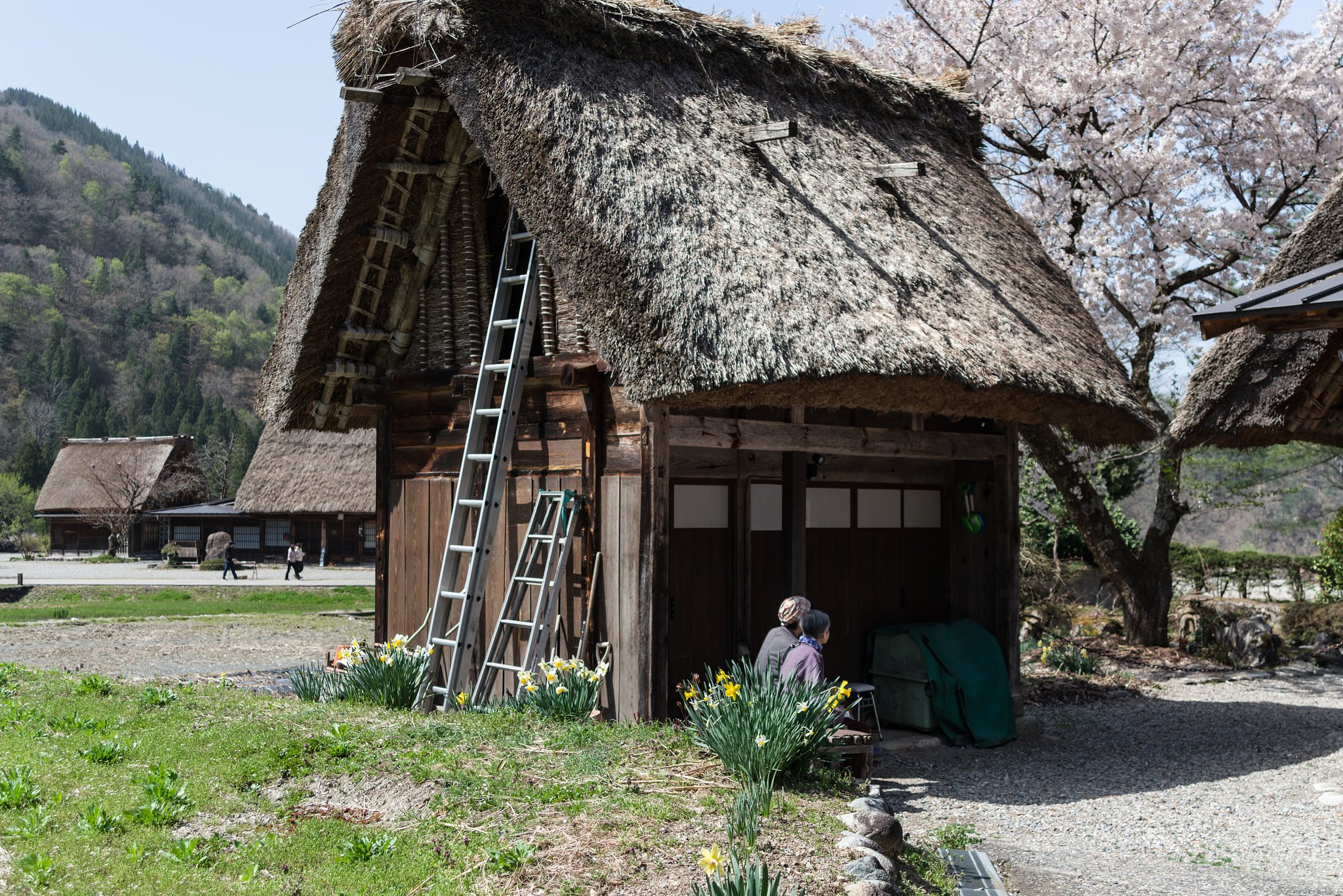 里山にも春の訪れⅢ_背中は語る