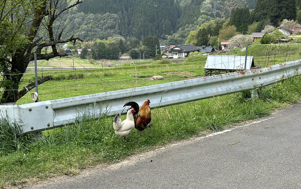 スナップショット−１