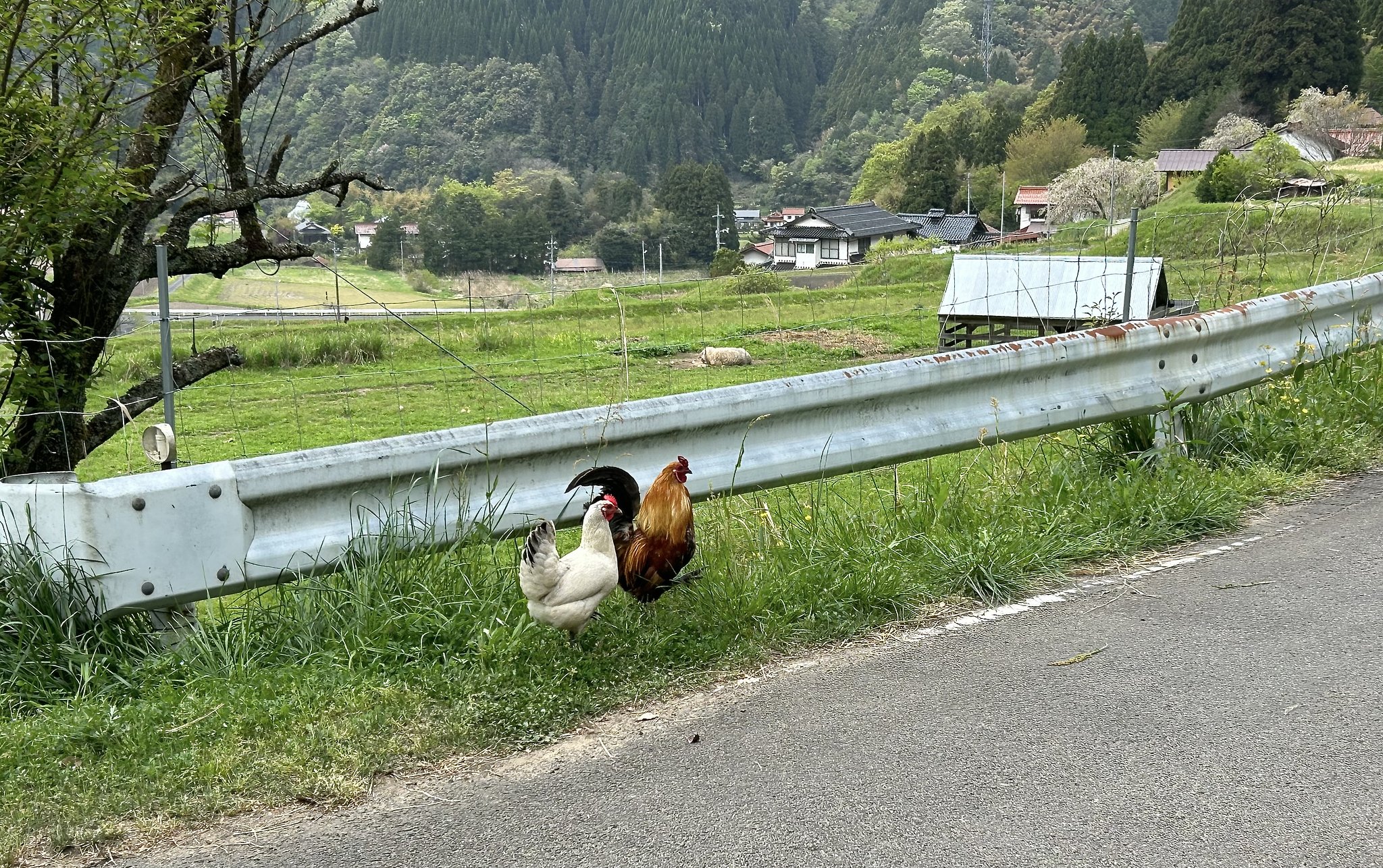 スナップショット−１