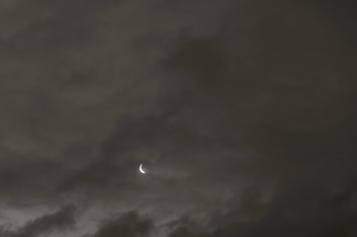 4月4日の写真
