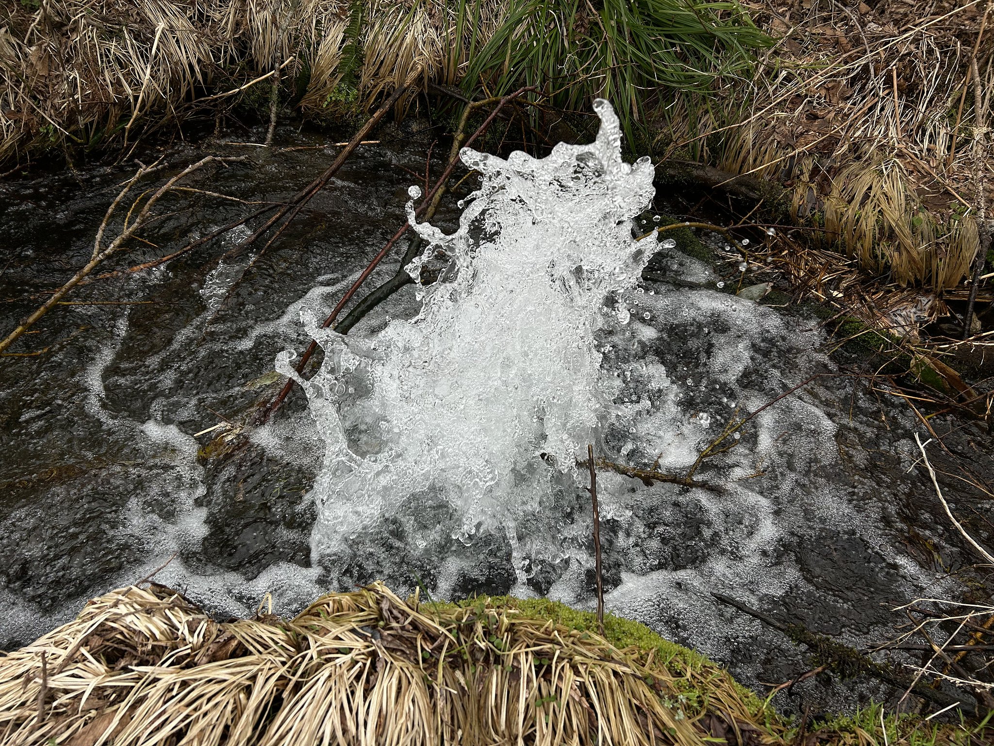 湧水