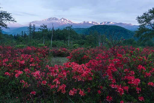 朝焼け　山に舞い降りる