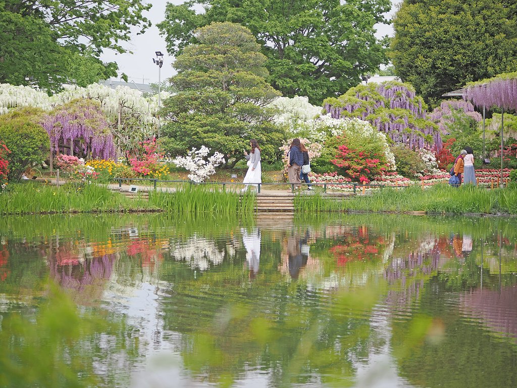 花でつないで
