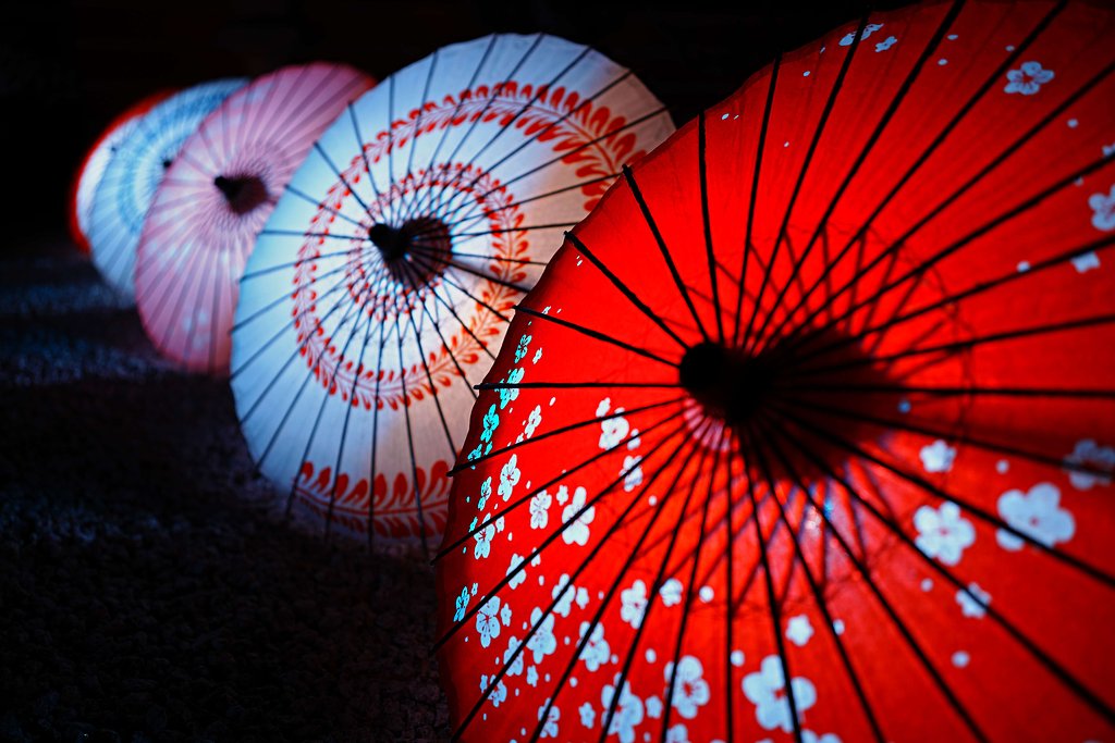 和傘の花
