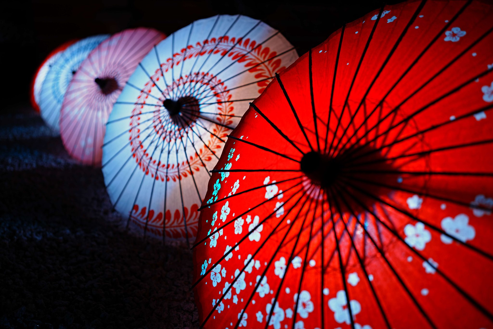和傘の花