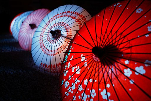和傘の花