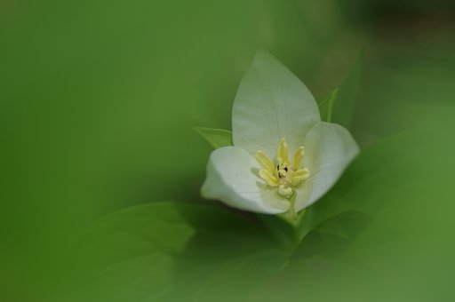 雨の跡