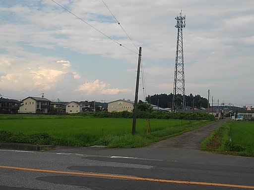 7月23日の写真