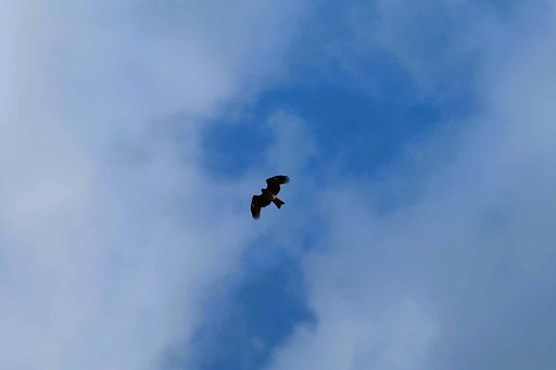 空を行くもの