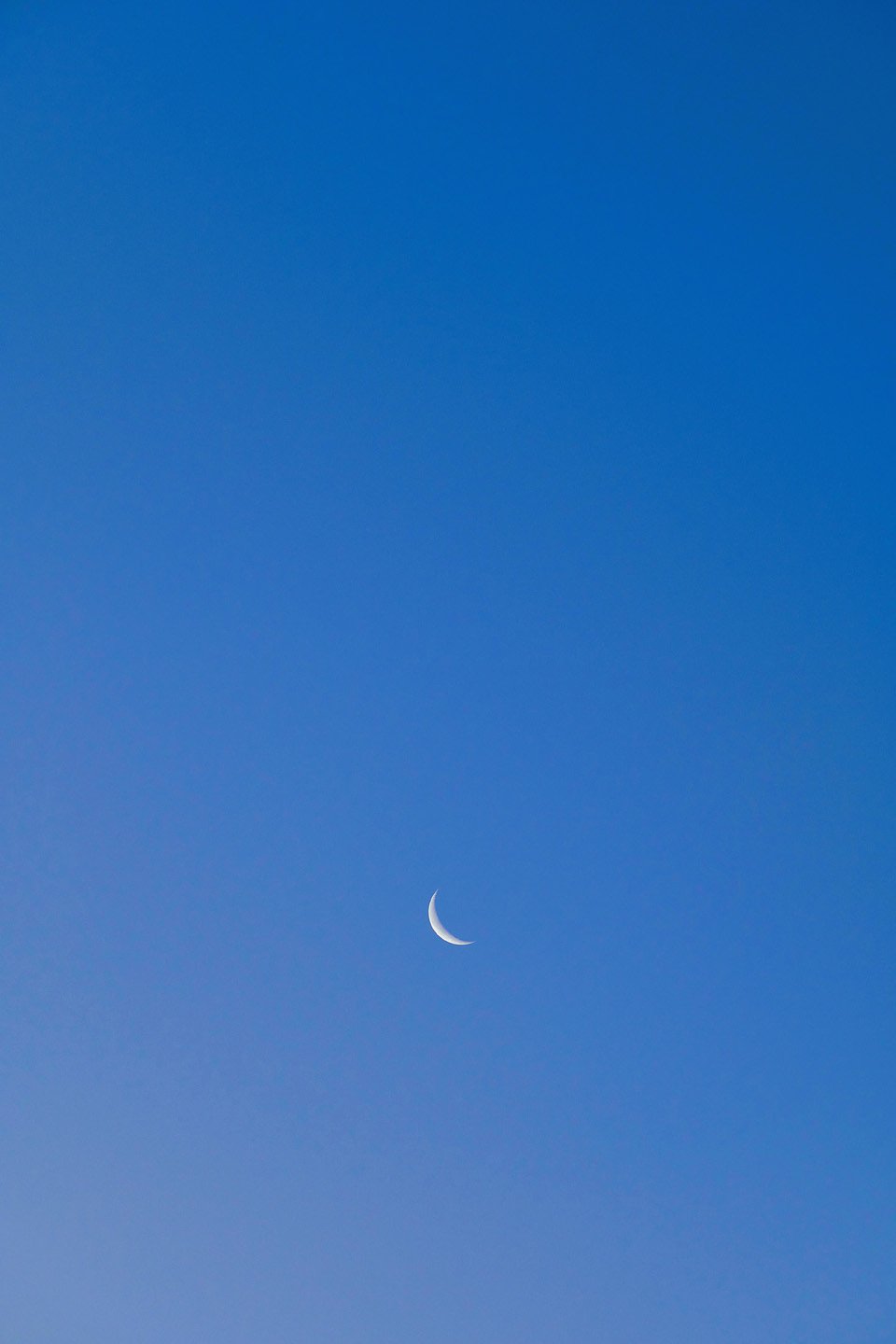 大晦日