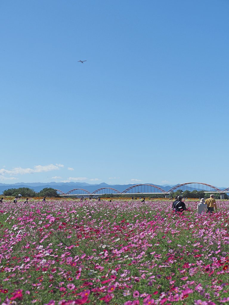 あの空を飛びたい