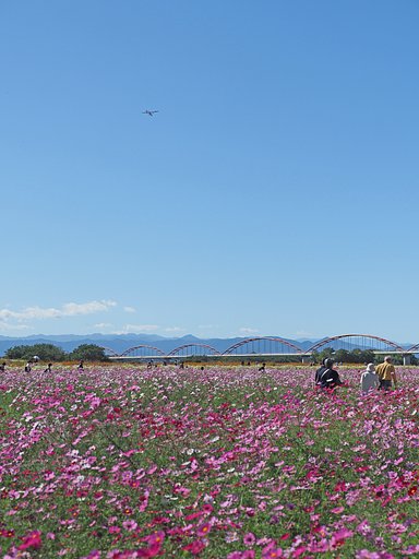 あの空を飛びたい