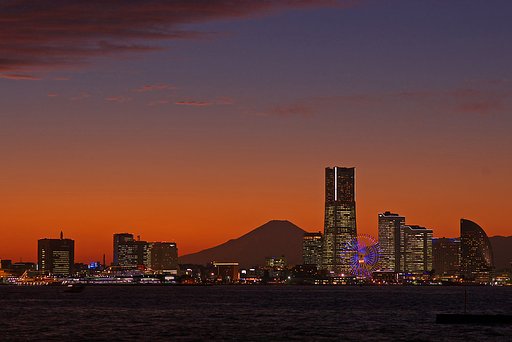 本日の・・・