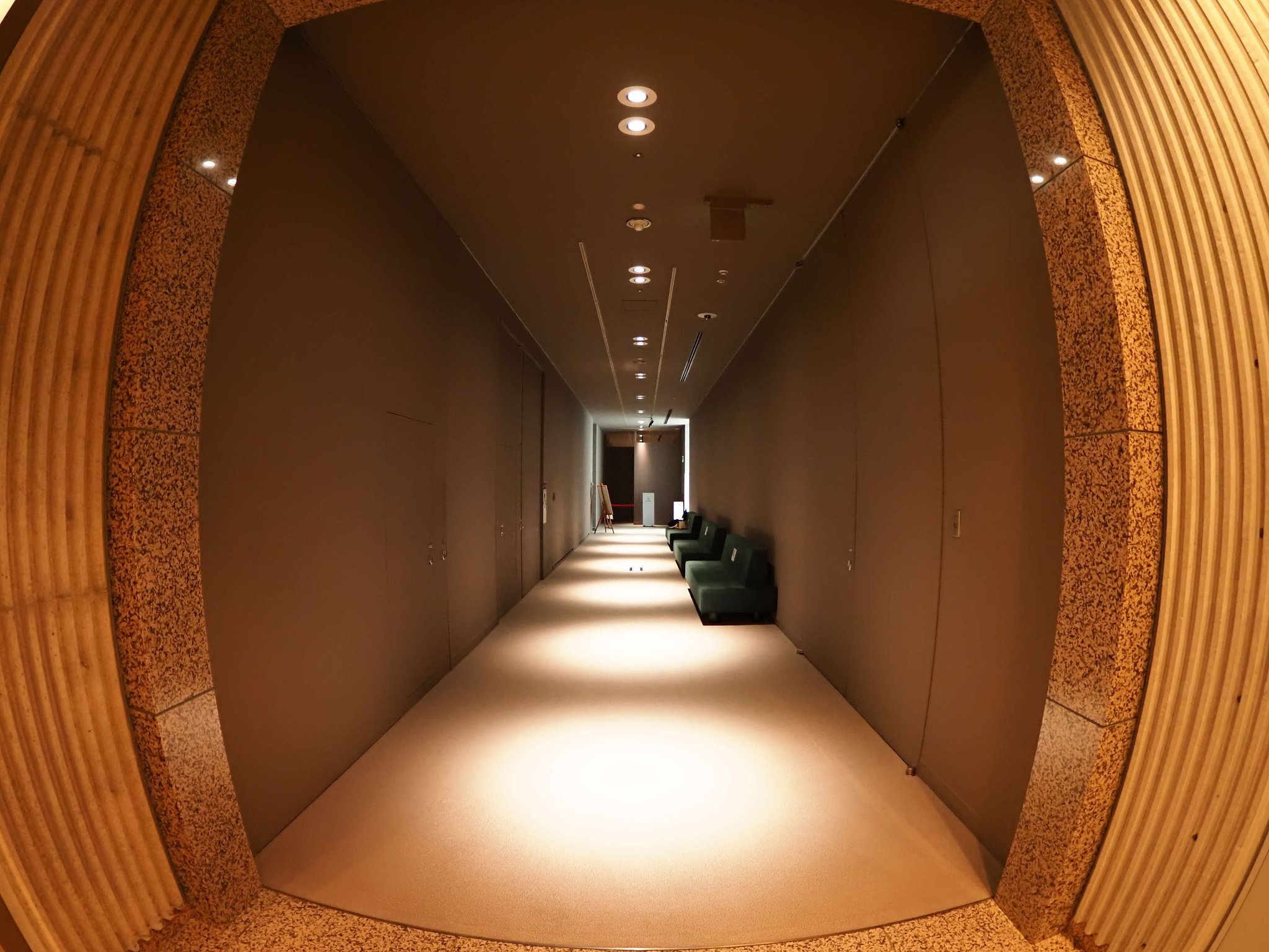 fish eye検証