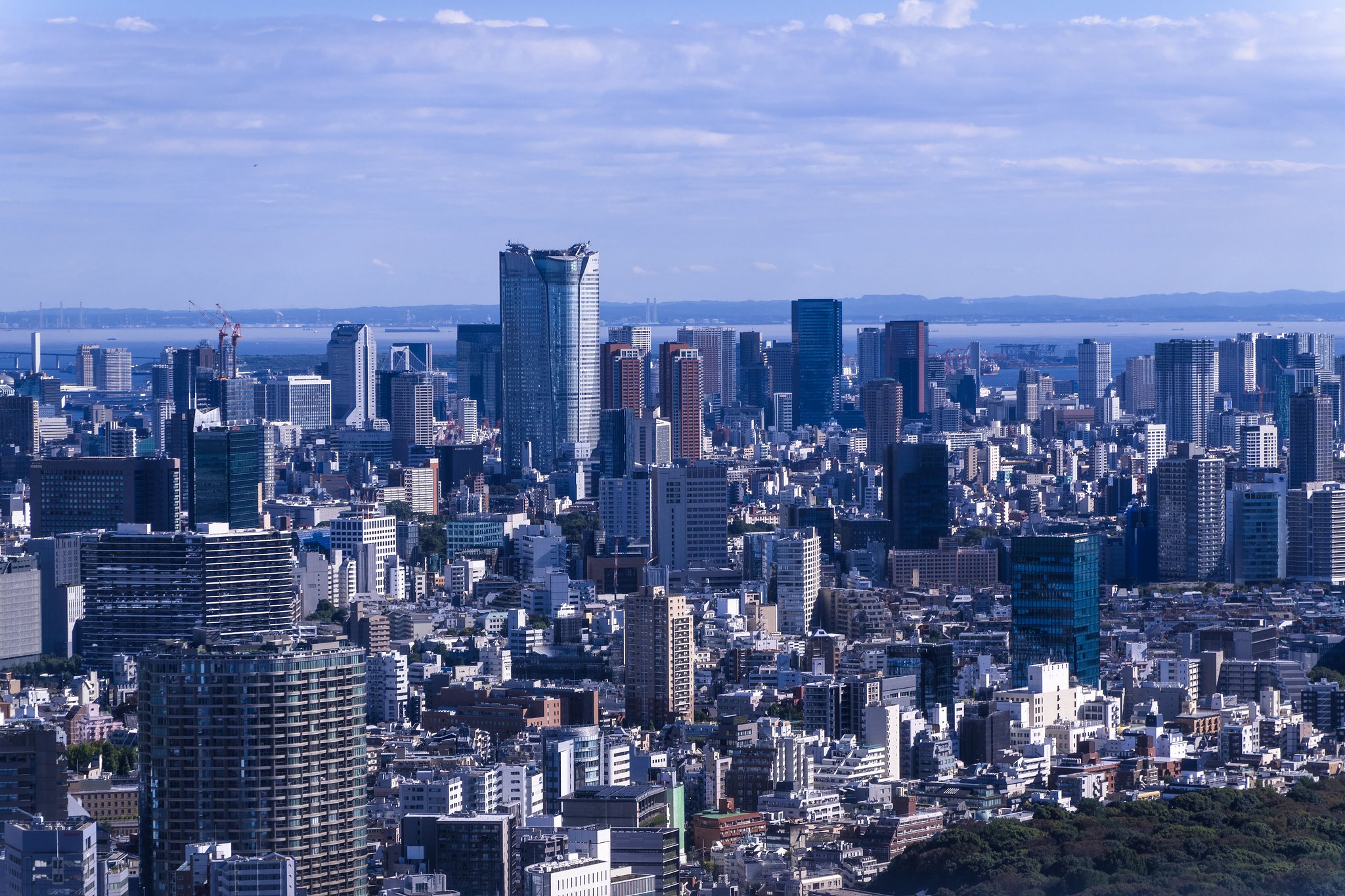 都庁から東京湾を望む