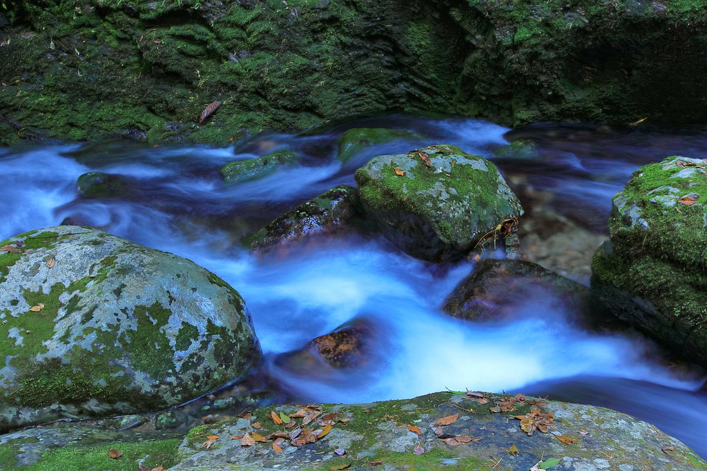 渓流