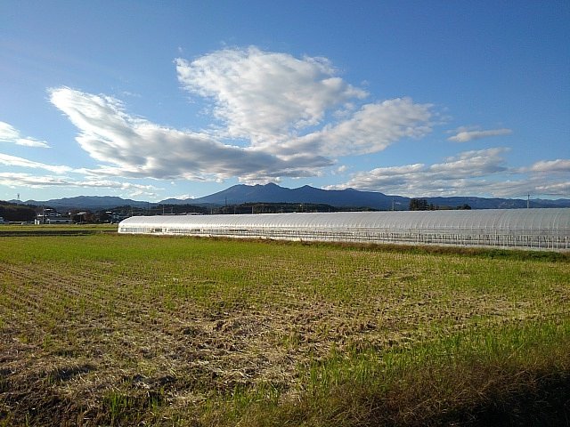 のどかな水田地帯（10/22）
