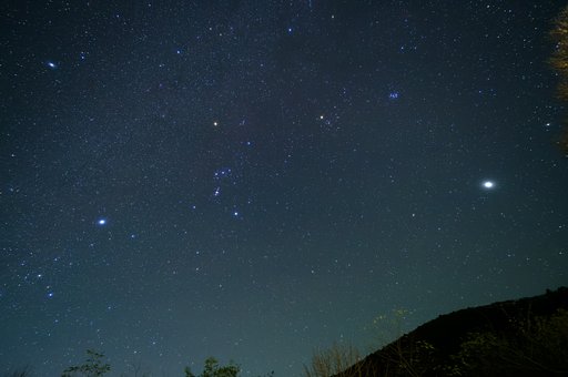 冬の有名スターたち
