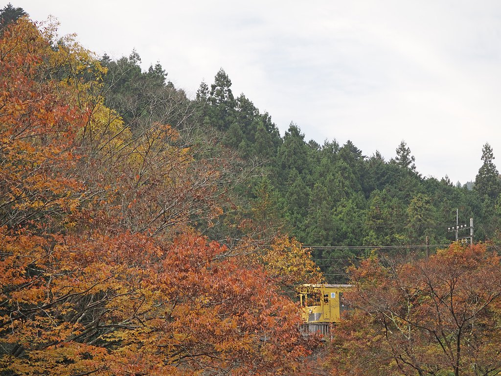 秋を駆け抜ける