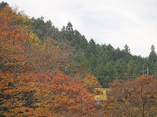 秋を駆け抜ける