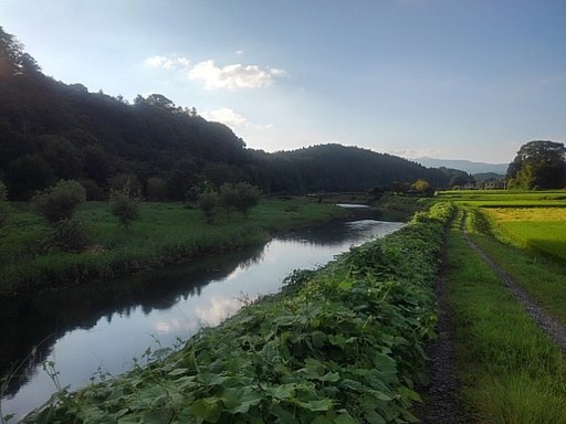 9月4日の写真