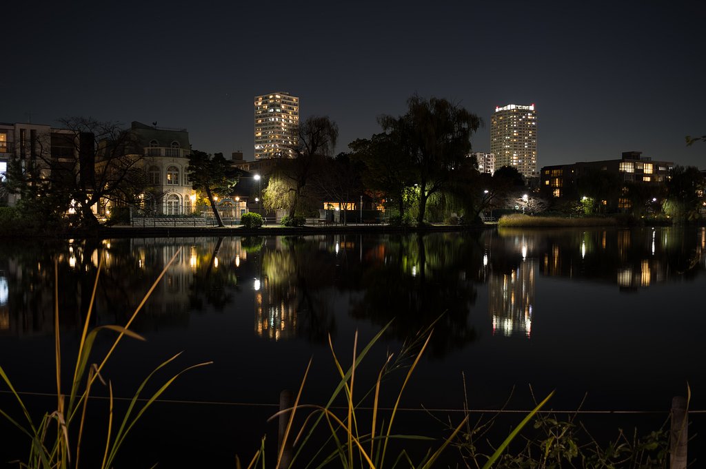 石神井公園の夜散歩