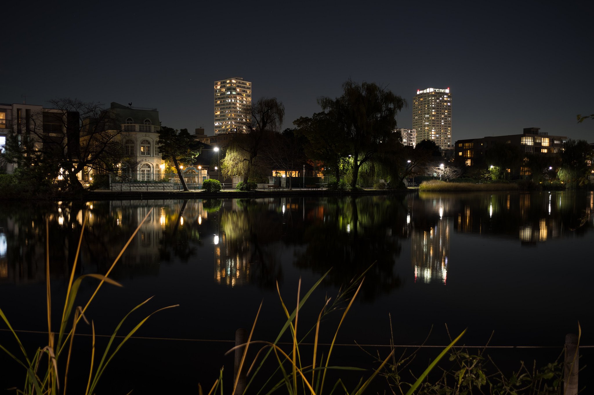 石神井公園の夜散歩