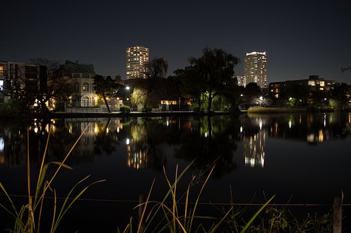 石神井公園の夜散歩
