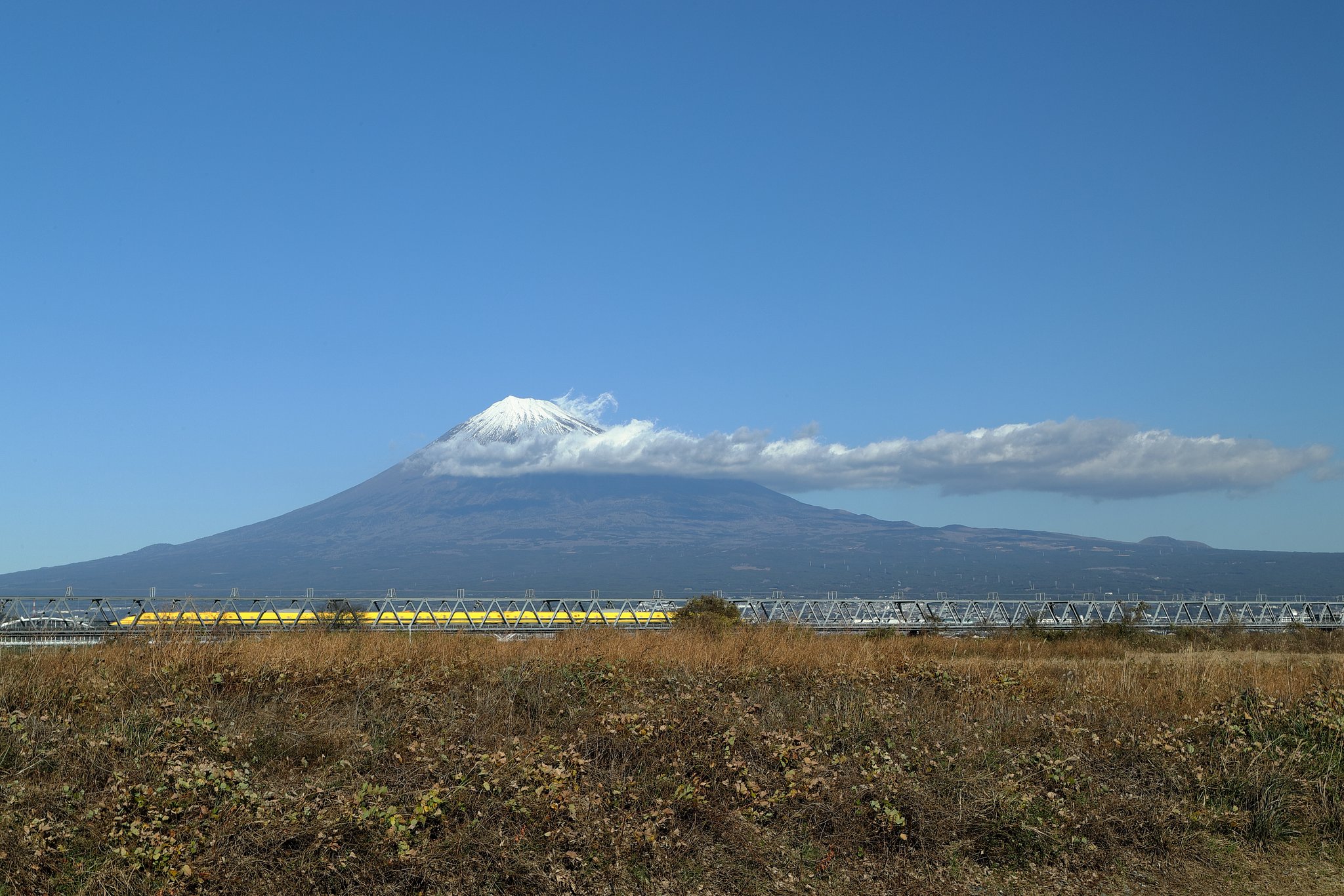偶然の遭遇