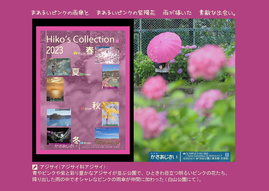 皆様、良いお年を〜Ekio〜