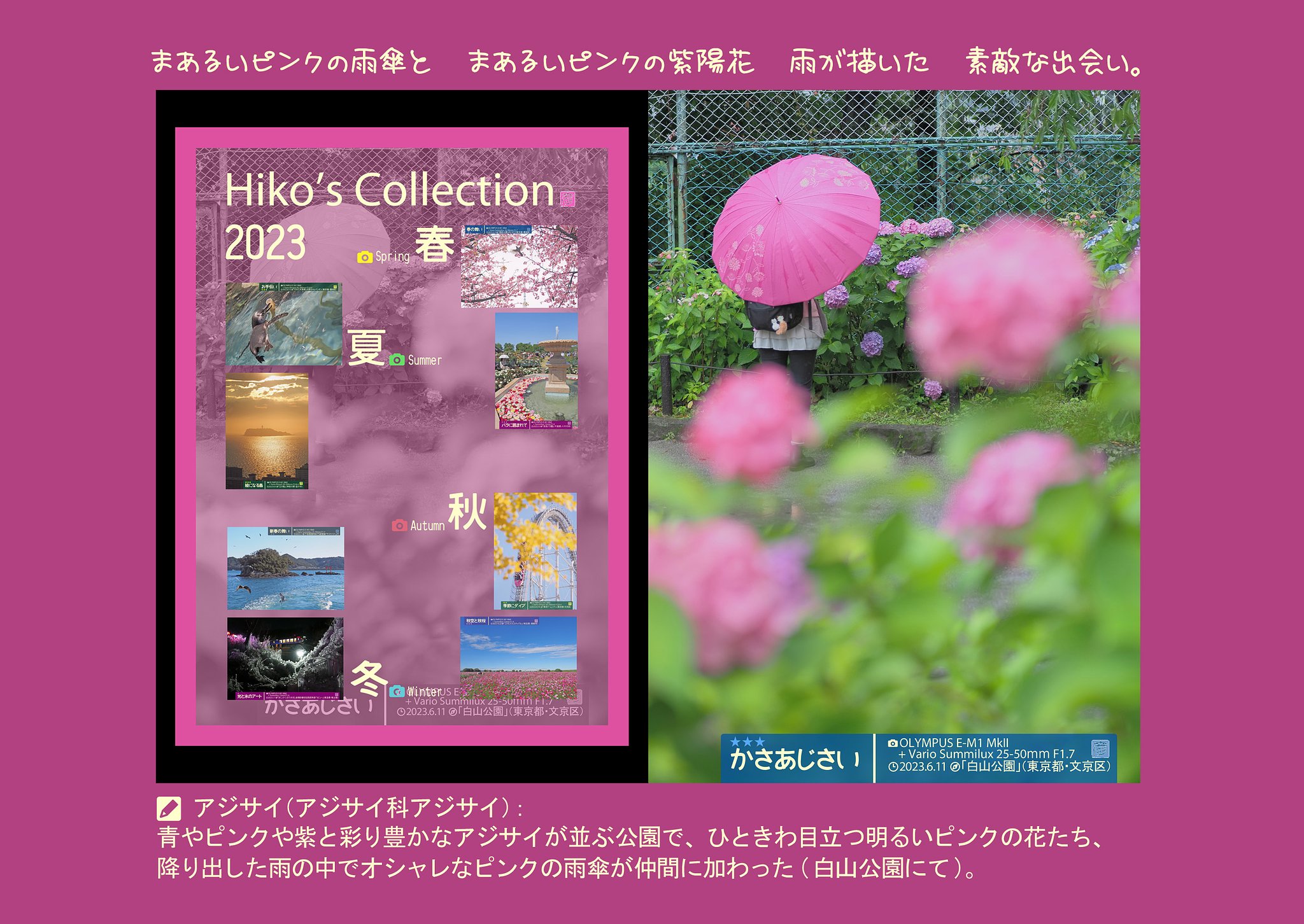 皆様、良いお年を〜Ekio〜
