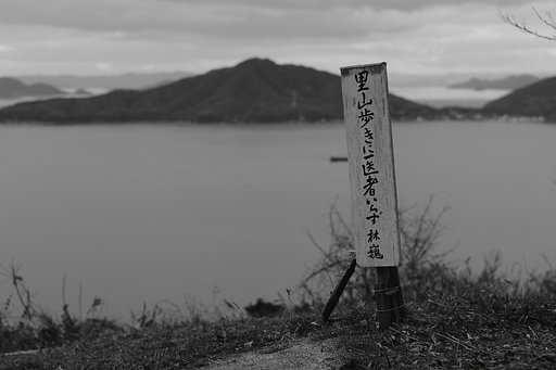 ④