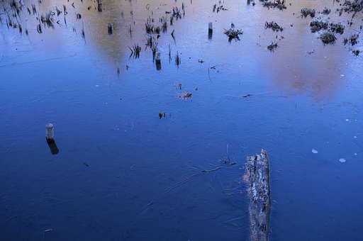 春の陽気なのに