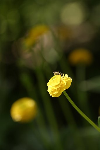 この間にあるんだよっ、、な・・・・