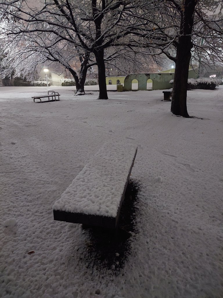 大雪の日の静寂