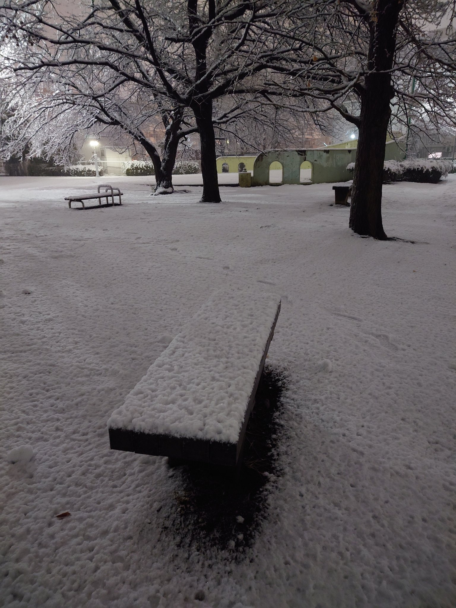大雪の日の静寂