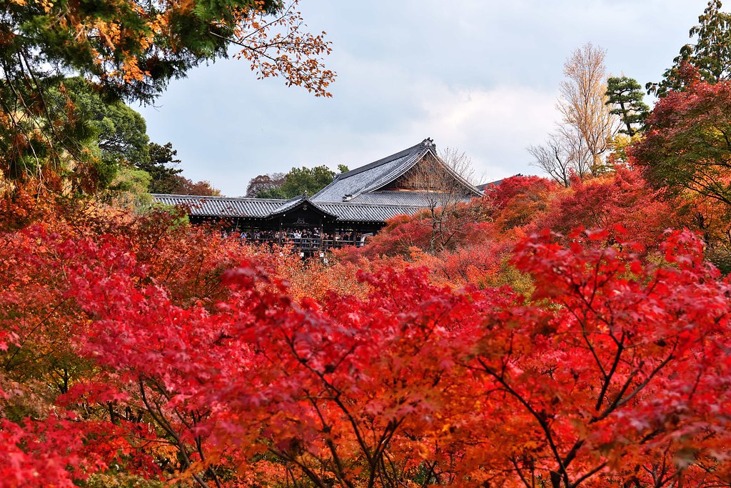 東福寺通天橋