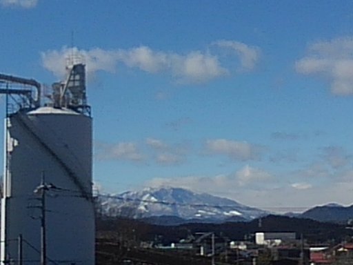 2月26日の写真