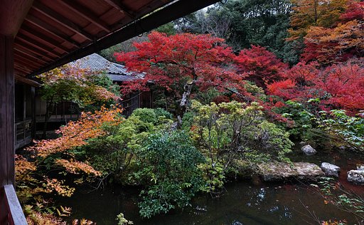 11月24日の写真