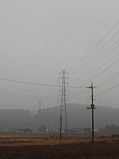 雨の郊外の景色
