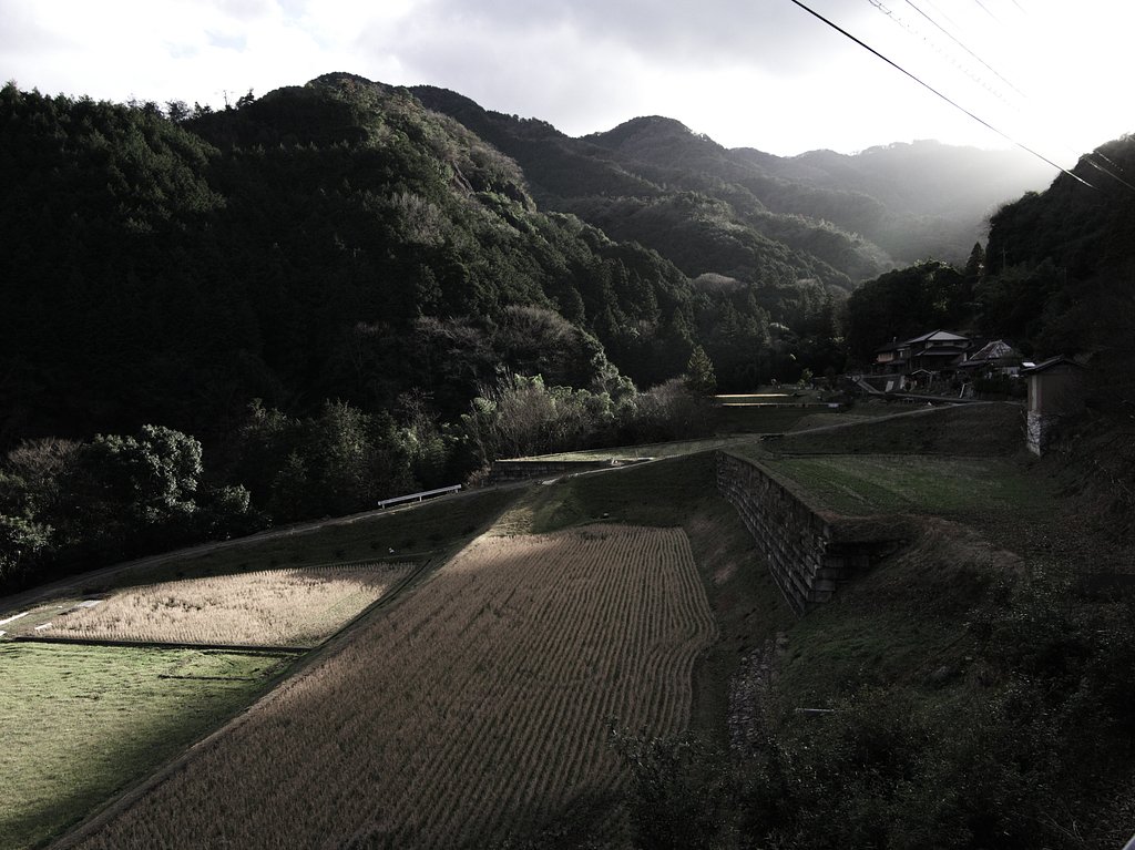 ⑦-2