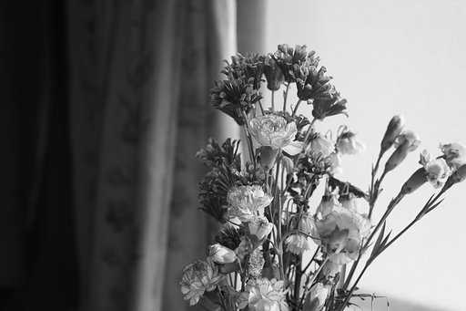 1月23日の写真