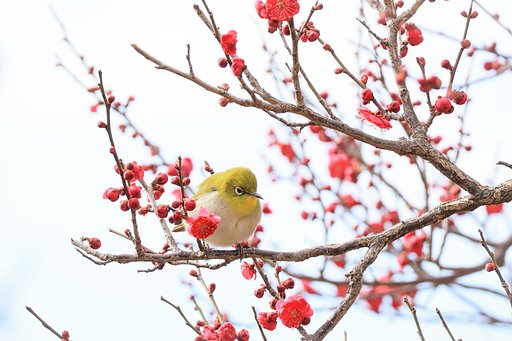 なんだか、酸っぱいんだよな～