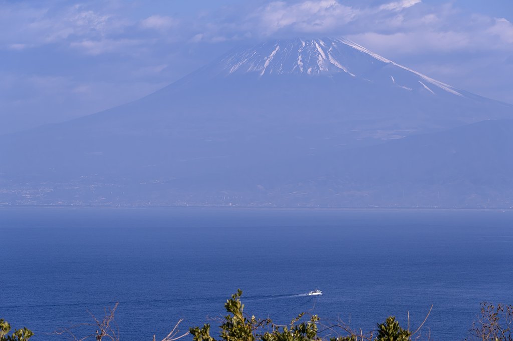 駿河湾を見守る