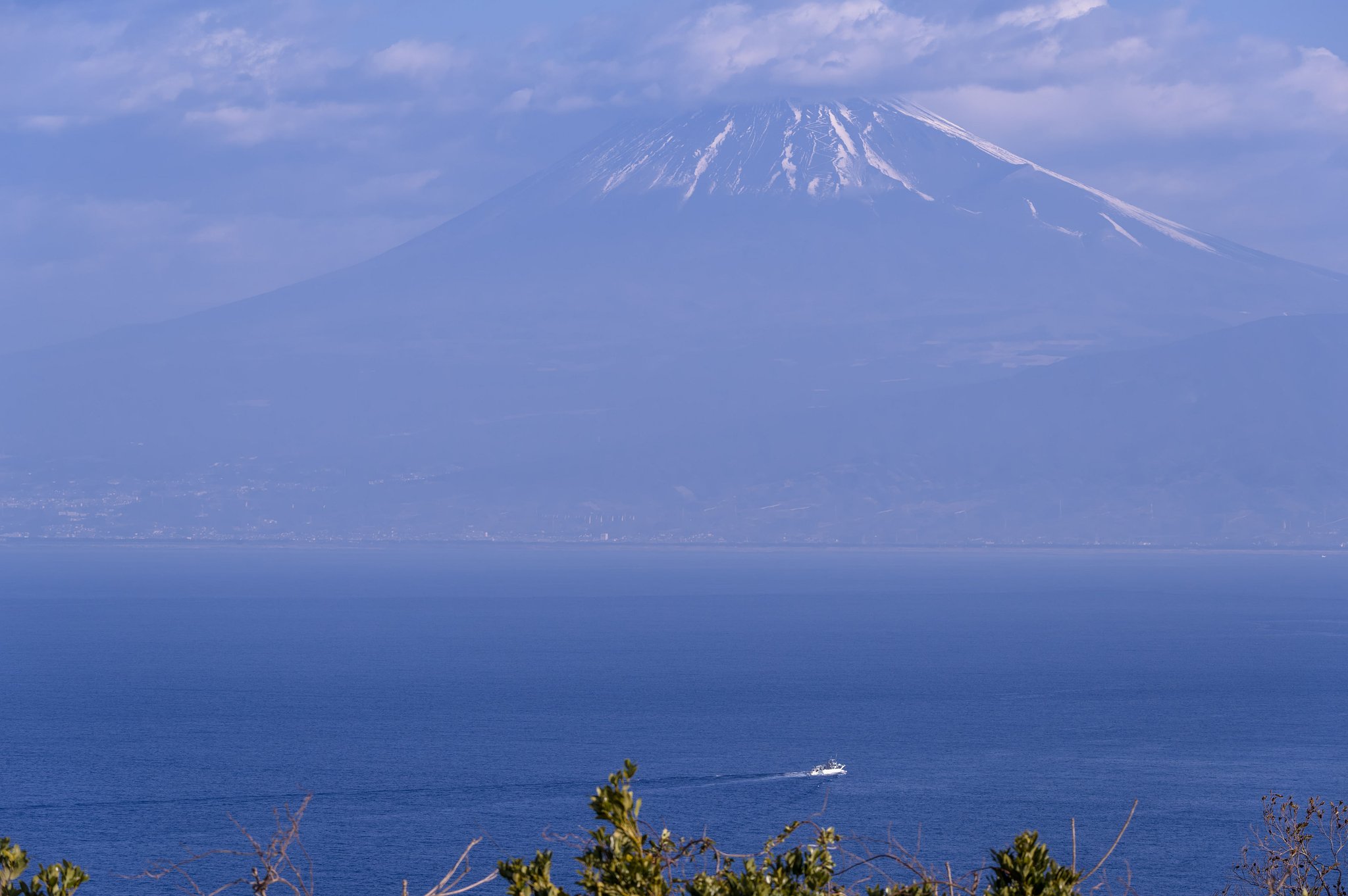 駿河湾を見守る