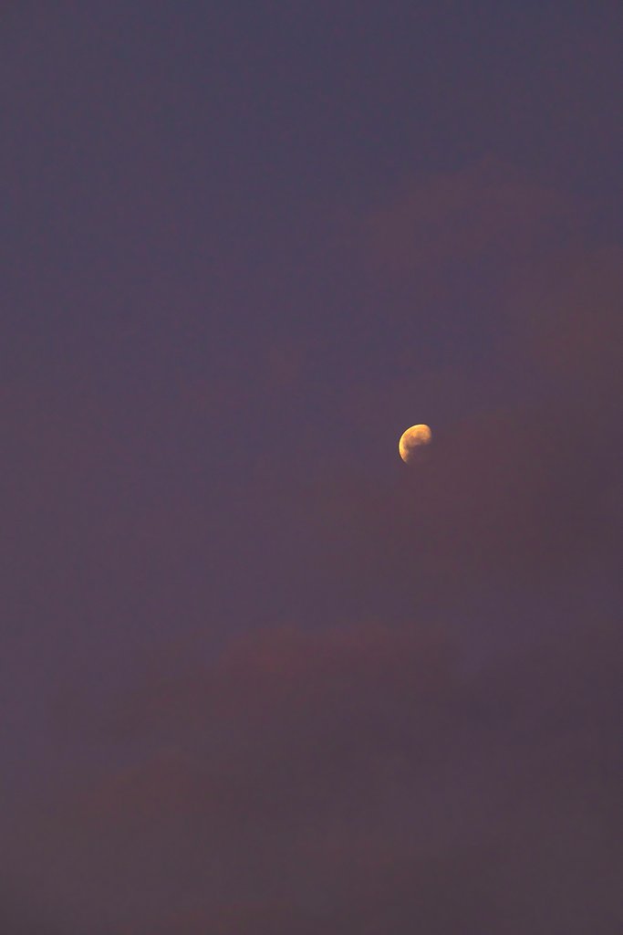 夜明けの月