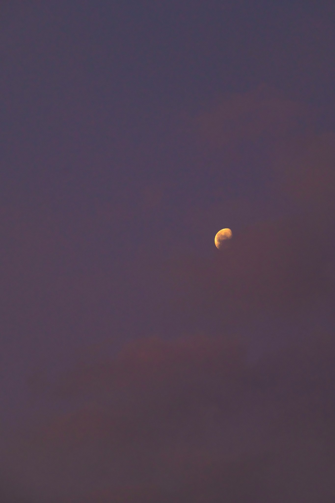 夜明けの月