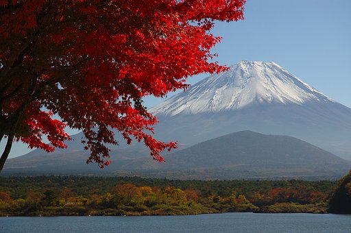 11/8の富士山　精進湖