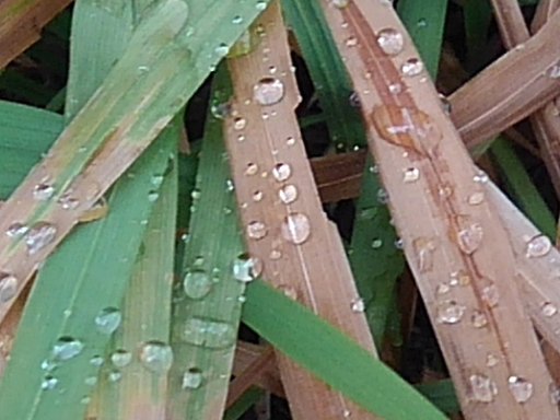 4月3日の写真