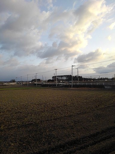 3月18日の写真